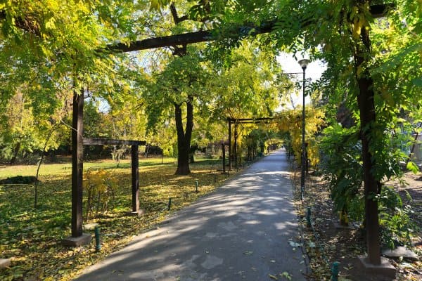 7 Effectieve Tips Om Stress Te Verminderen 3 Buiten wandelen