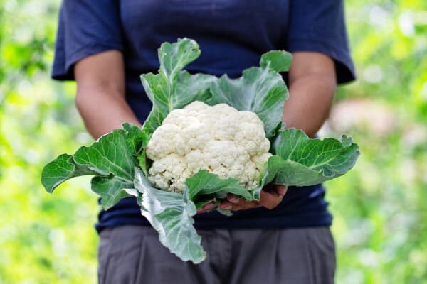Helpt bloemkool met afvallen? En hoe kan je het beste bloemkool eten tijdens het afslanken volgens een diëtist?