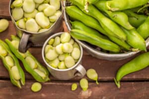 In dit artikel lees je over de gezondheidsvoordelen van tuinbonen. Zijn tuinbonen gezond? En helpen tuinbonen met afvallen? Dat lees je hier!