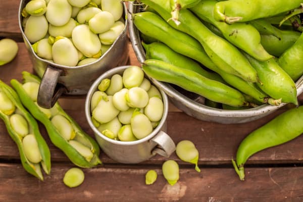 In dit artikel lees je over de gezondheidsvoordelen van tuinbonen. Zijn tuinbonen gezond? En helpen tuinbonen met afvallen? Dat lees je hier!